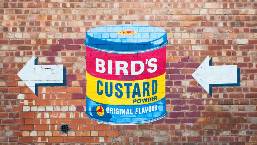 Painting of Birds Custard tin on brick wall